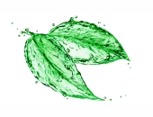 Tratamento e Destinação dos Resíduos Industriais